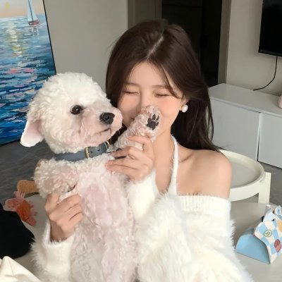 少林少女